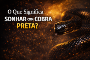 O que significa sonhar com cobra preta